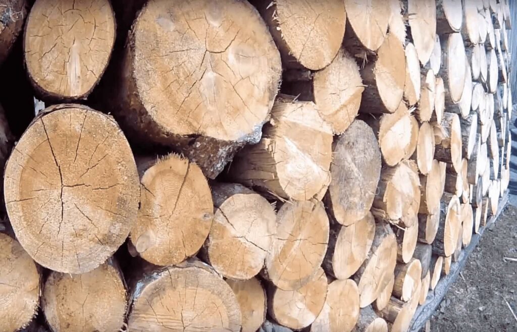 Дрова – повний гід про вибір, використання та зберігання дрова
