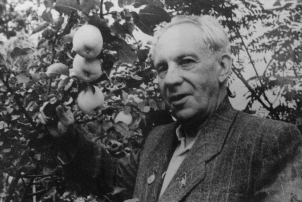 Максим Рильський – життя, творчість та спадщина українського поета максим рильський